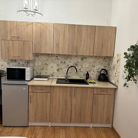 Kamienica Apartment *